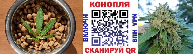 где купить наркоту  Томари  Canna-Cookies конопля 