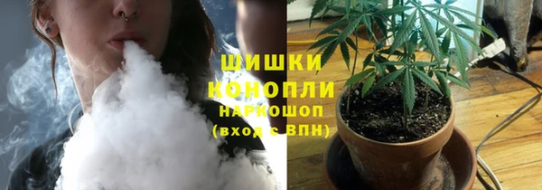 дживик Богородск