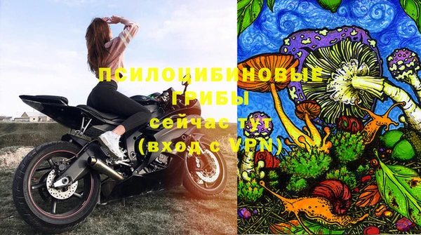 первитин Богородицк