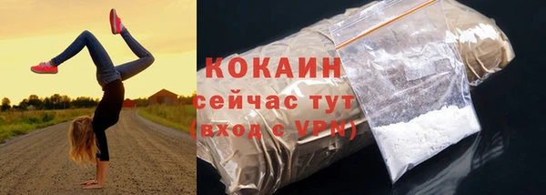 первитин Богородицк