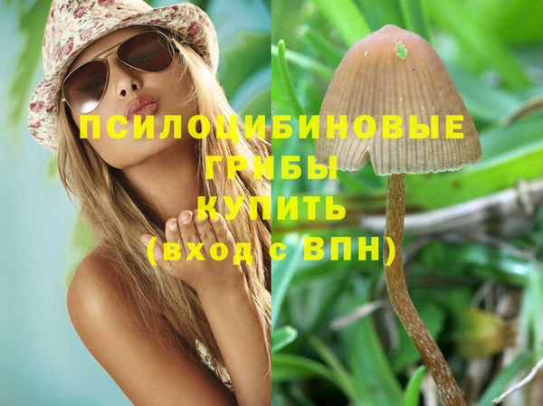 дживик Богородск