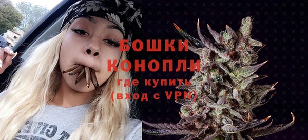 первитин Богородицк