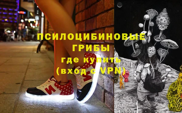 дживик Богородск